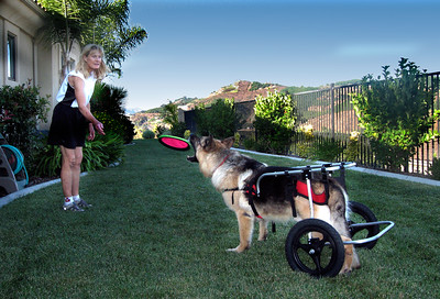 Many normal play activities can continue.

Tennis balls and Frisbees can almost always be used.